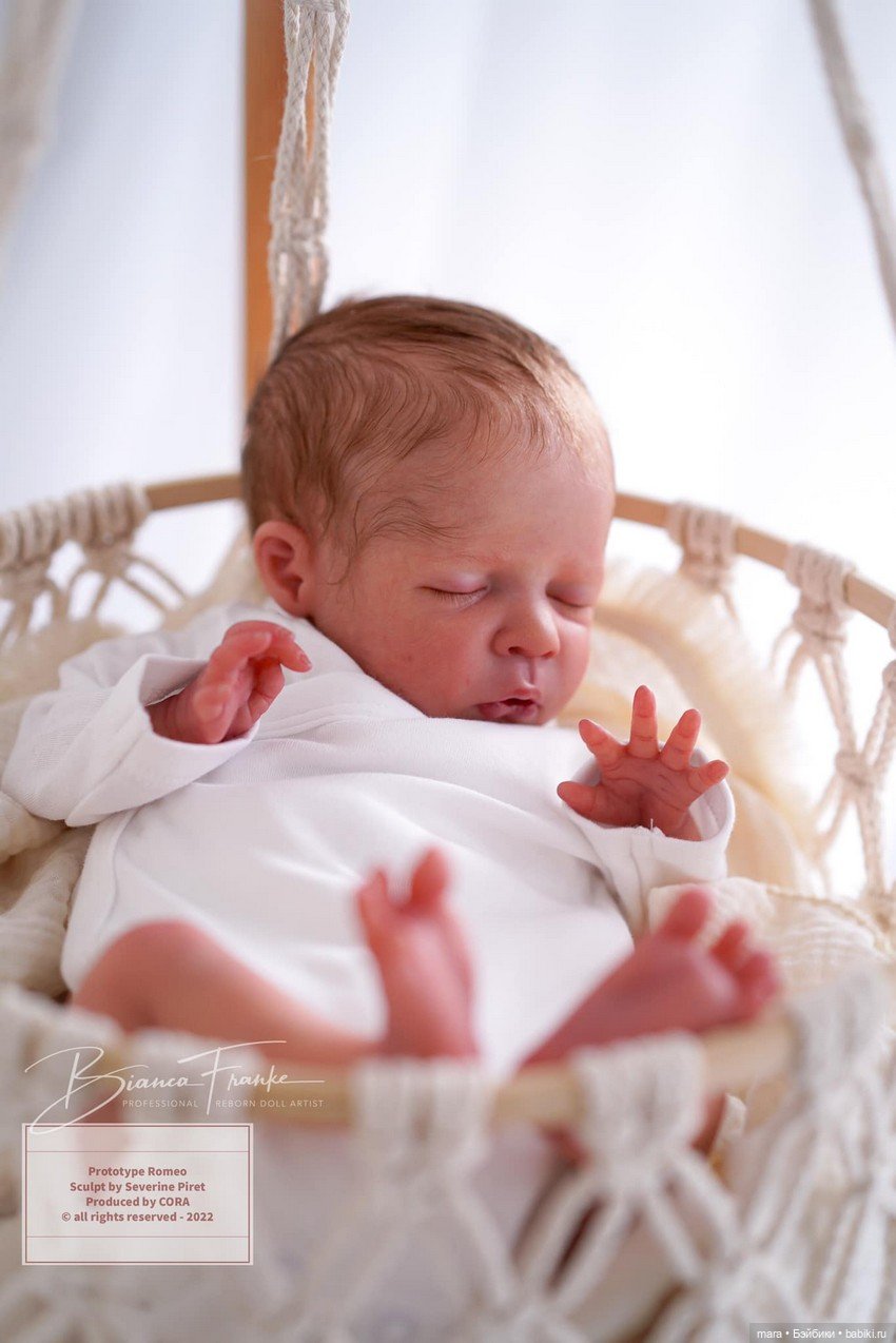 Romeo скульптора Severine Piret, автор прототипа Bianca Franke (фото 3)