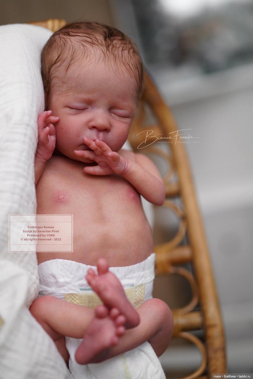 Romeo скульптора Severine Piret, автор прототипа Bianca Franke (фото 6)