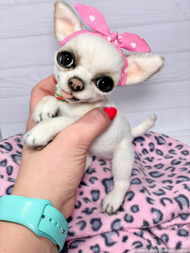 Аиша 🐶🐾 — Реалистичные игрушки и звери (Натюр): собаки (фото 2)