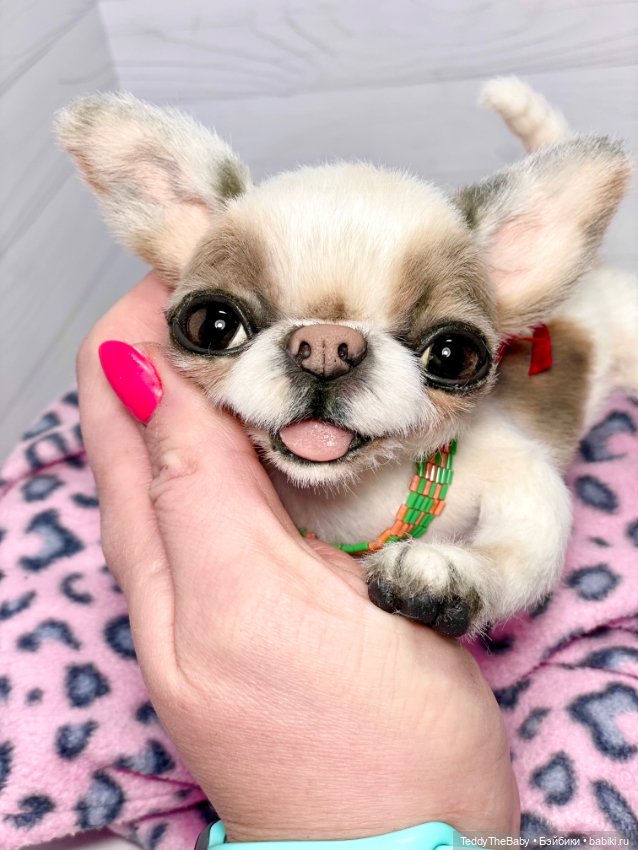 Бах 💥🐾 — Реалистичные игрушки и звери (Натюр): собаки (фото 8)