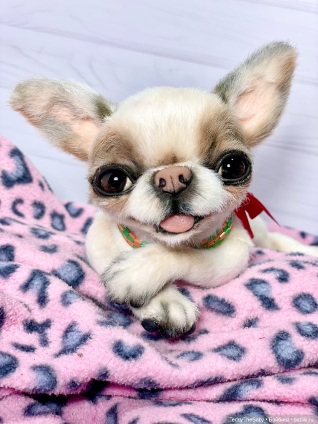 Бах 💥🐾 — Реалистичные игрушки и звери (Натюр): собаки (фото 4)