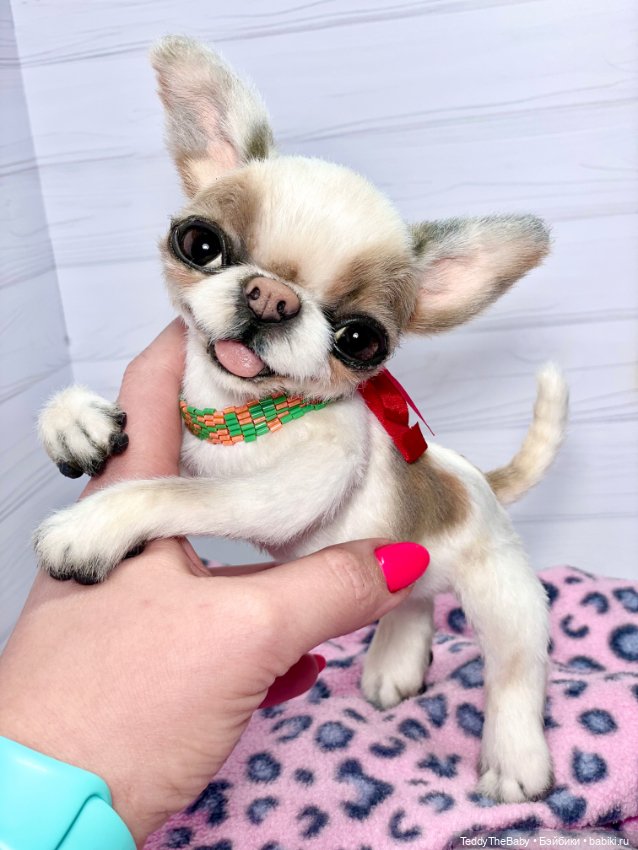 Бах 💥🐾 — Реалистичные игрушки и звери (Натюр): собаки (фото 6)