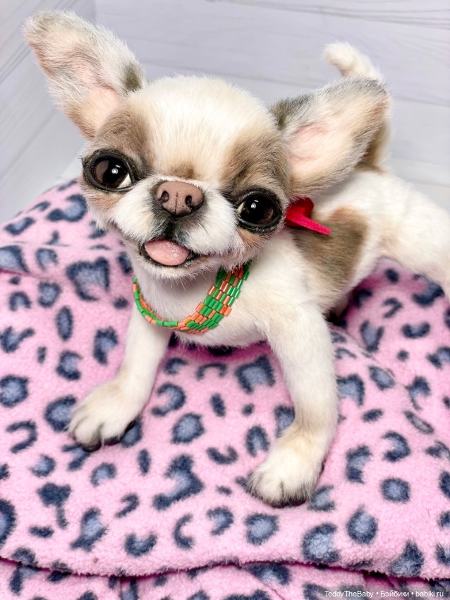 Бах 💥🐾 — Реалистичные игрушки и звери (Натюр): собаки