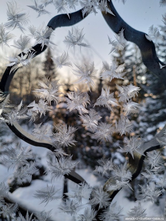 Пора убирать ёлку, а так не хочется. Фото на память