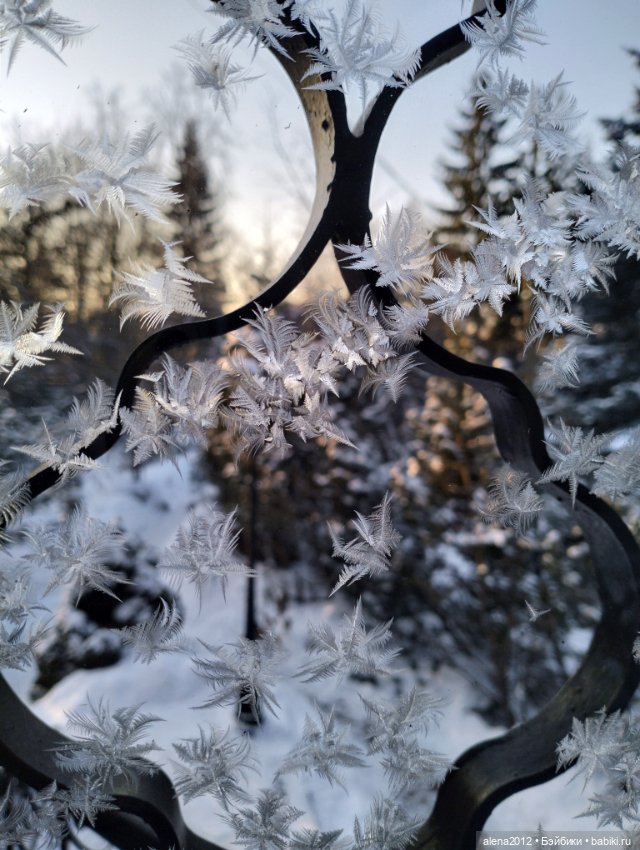 Пора убирать ёлку, а так не хочется. Фото на память