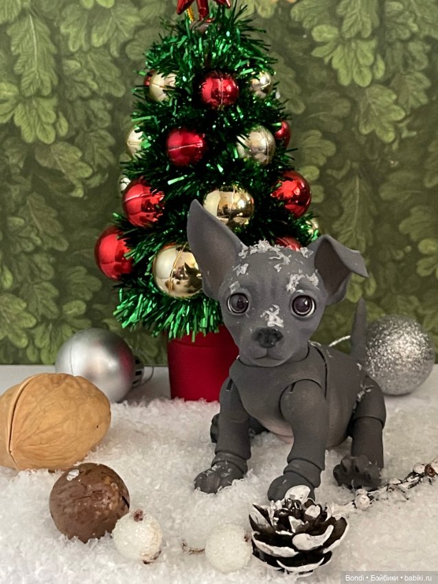 Новогодние фото с моими любимыми домашними питомцами