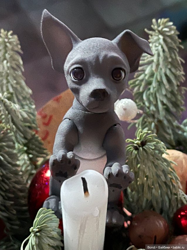 Новогодние фото с моими любимыми домашними питомцами (фото 6)