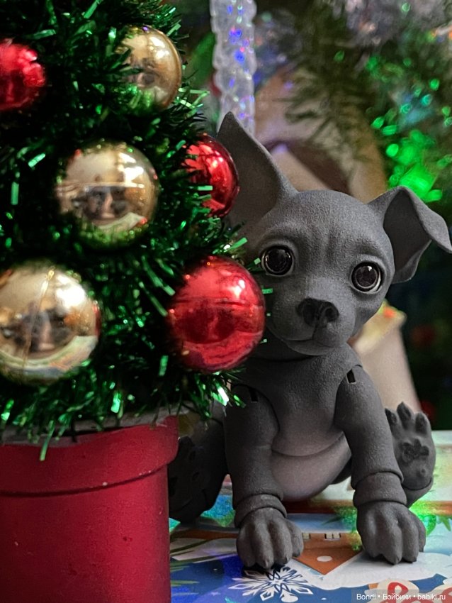 Новогодние фото с моими любимыми домашними питомцами (фото 4)