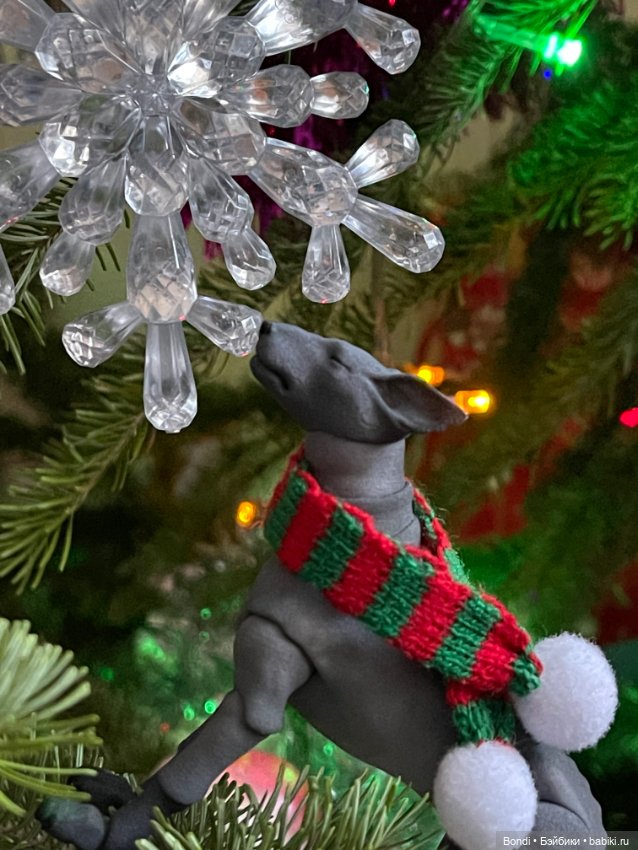 Новогодние фото с моими любимыми домашними питомцами