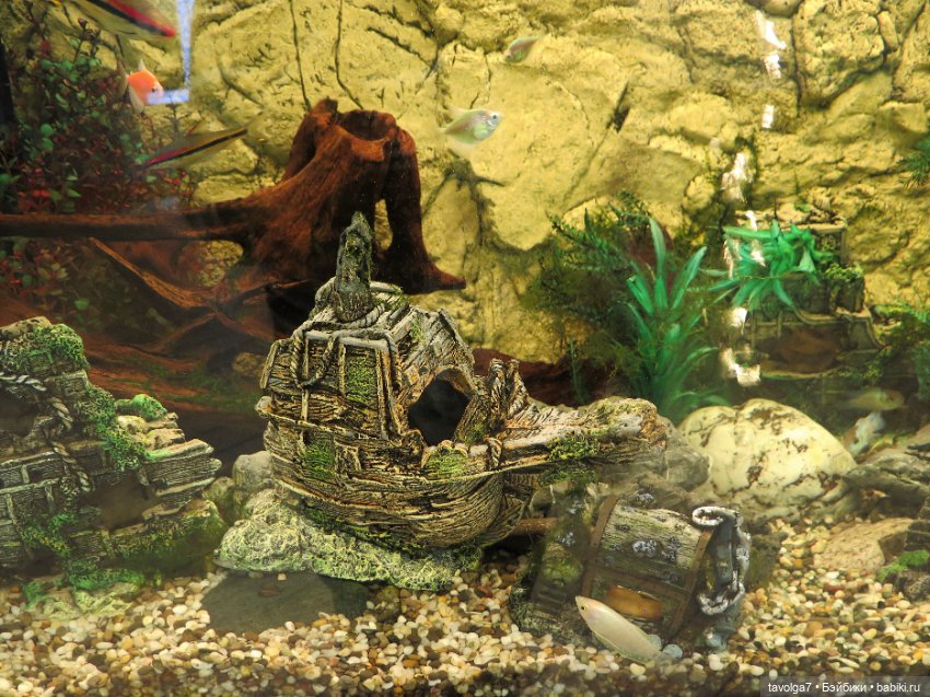 "Петровская Акватория" - музей-макет 1:87 в Санкт-Петербурге