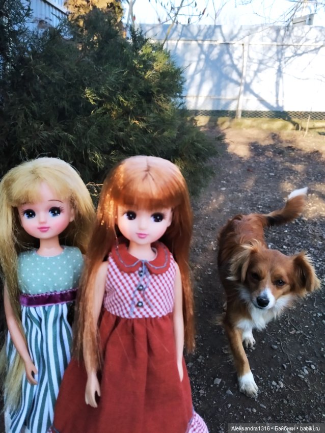 Немножко солнышка🌻 — Куклы Takara Tomy (Такара): Licca (Ликка)