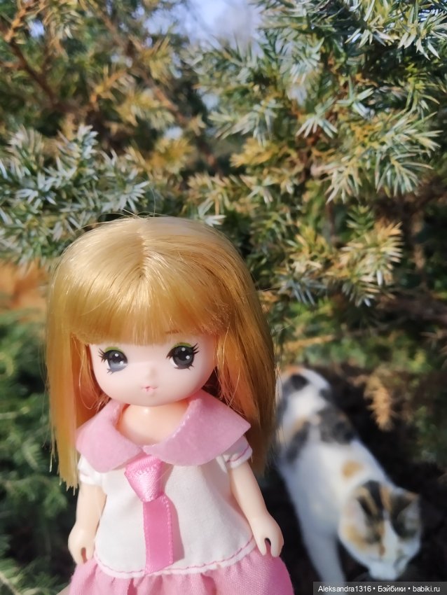 Немножко солнышка🌻 — Куклы Takara Tomy (Такара): Licca (Ликка)