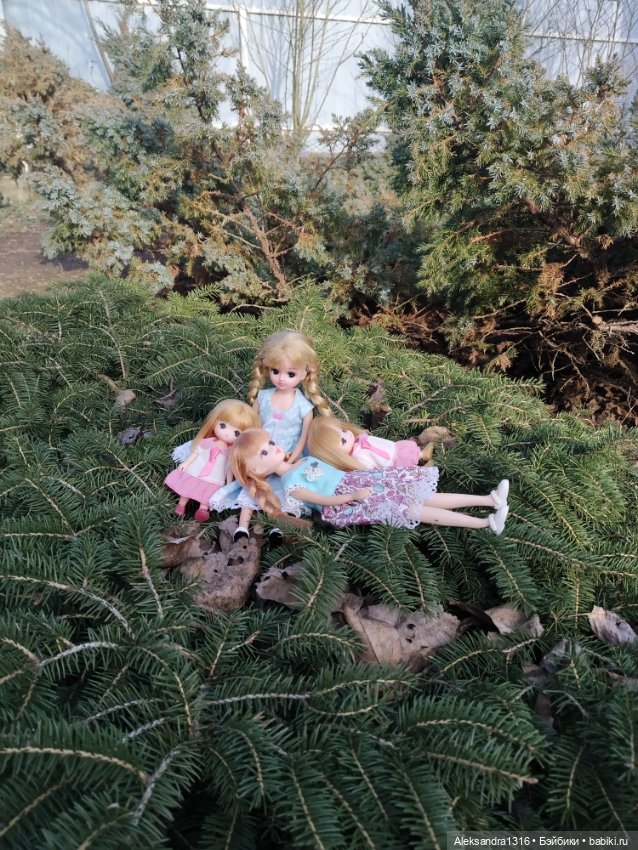 Немножко солнышка🌻 — Куклы Takara Tomy (Такара): Licca (Ликка)