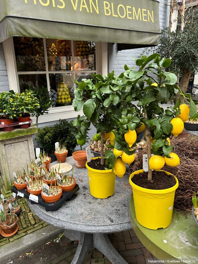 Fashion Dolls 467 — Туризм и путешествия: фотоотчеты из поездок