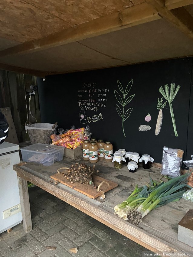 Fashion Dolls 467 — Туризм и путешествия: фотоотчеты из поездок