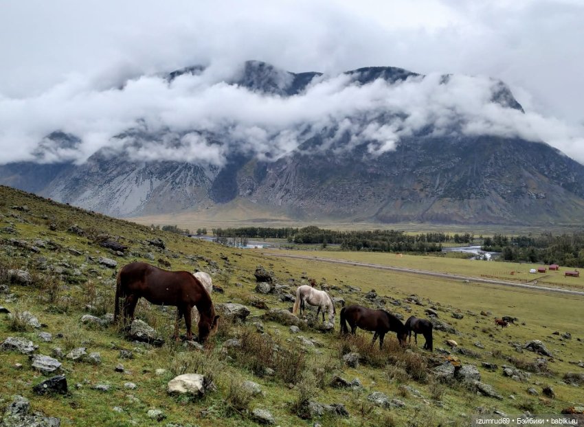 Второе путешествие на Алтай. Сентябрь 2022