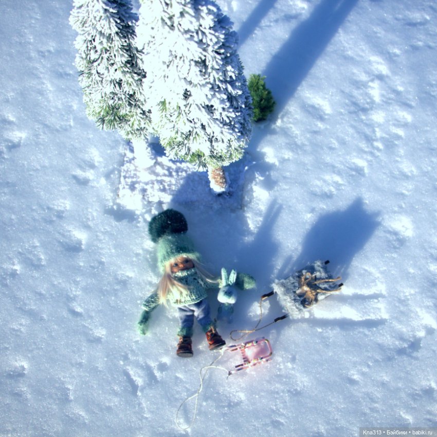 Зима. Солнце. Ёлки. Зайцы. Мы❄ ❄ ❄