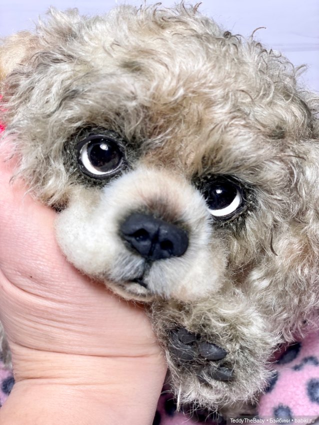 Dandy — Реалистичные игрушки и звери (Натюр): собаки