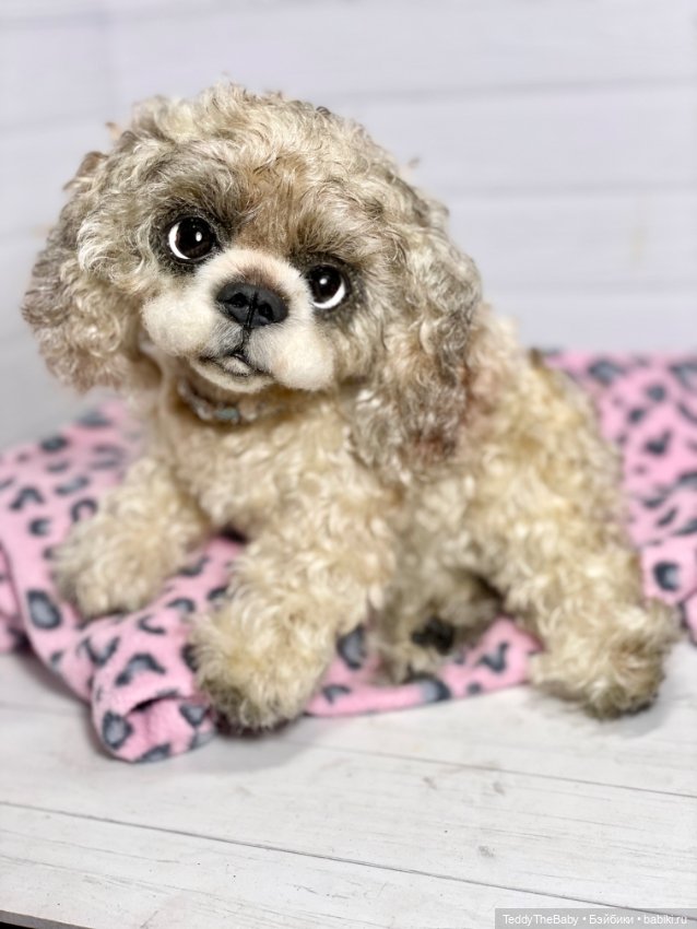 Dandy — Реалистичные игрушки и звери (Натюр): собаки