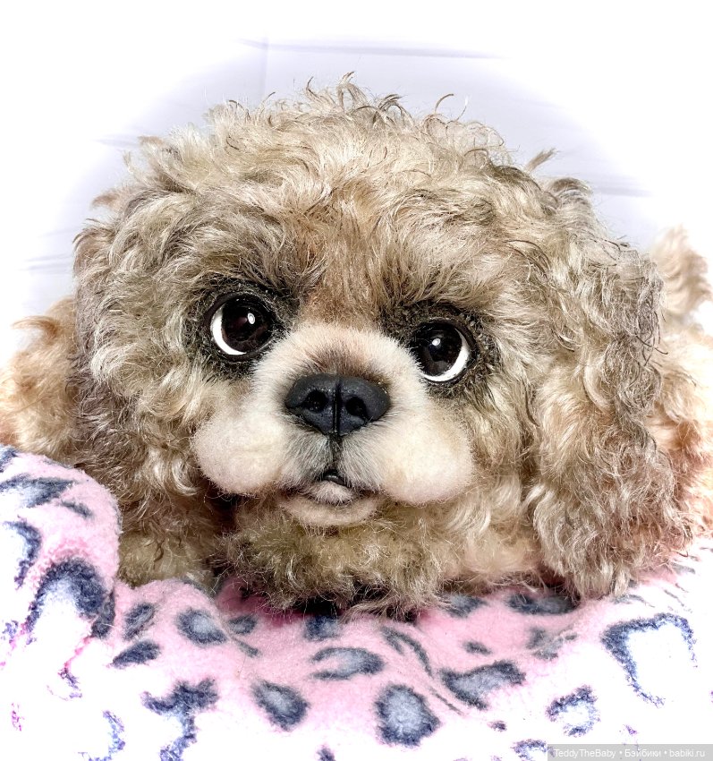 Dandy — Реалистичные игрушки и звери (Натюр): собаки