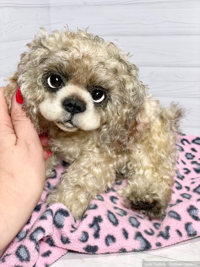 Dandy — Реалистичные игрушки и звери (Натюр): собаки