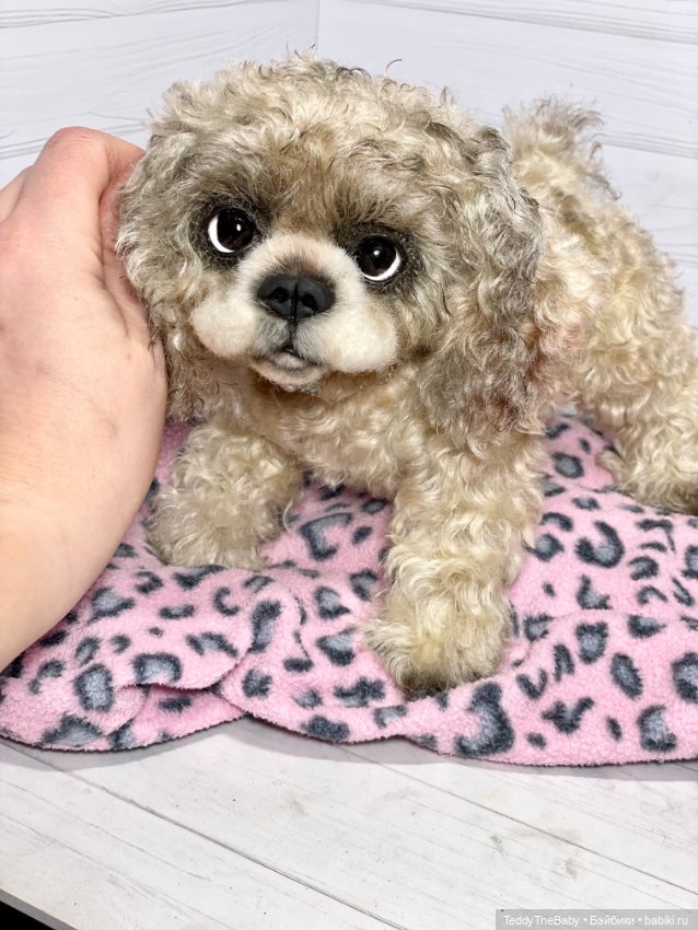 Dandy — Реалистичные игрушки и звери (Натюр): собаки