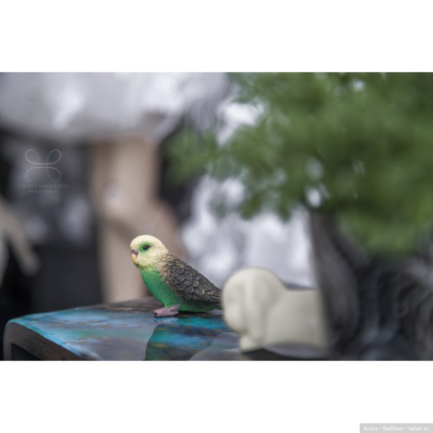 Почти все мои большие девочки - январь 2023