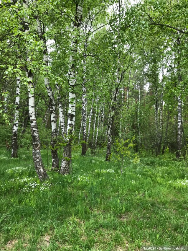 Зоя от Heidi Plusczok . Часть 1. Начало лета