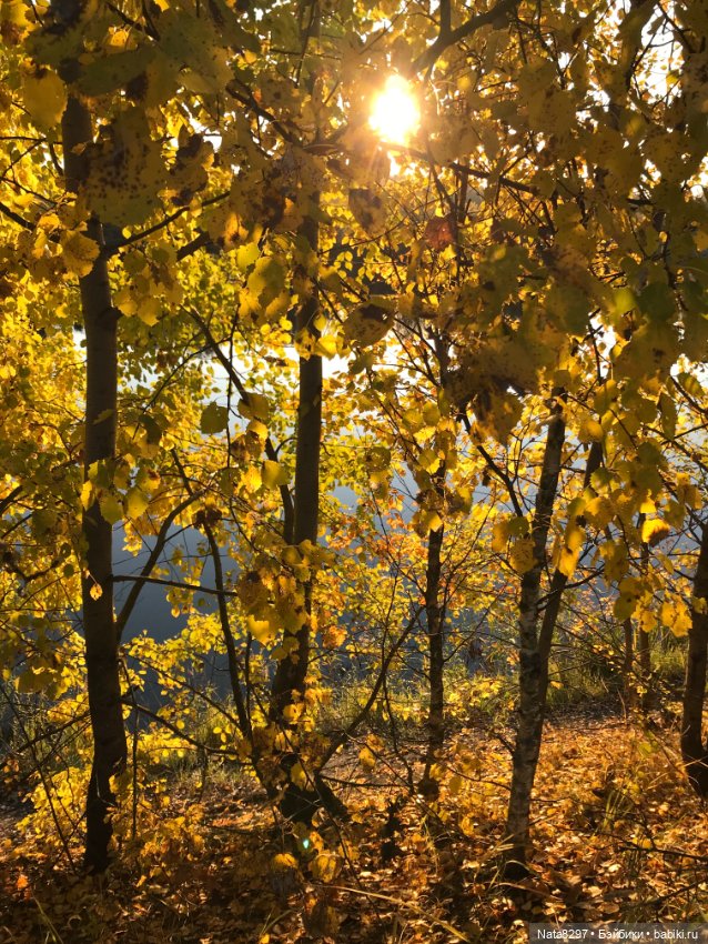 Зоя от Heidi Plusczok. Часть 2. Золотая осень (фото 4)
