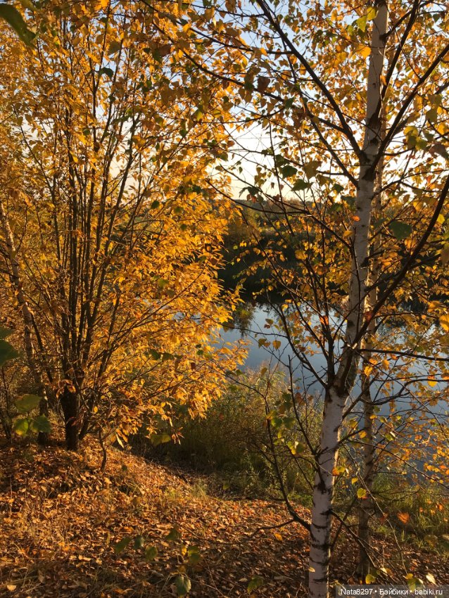 Зоя от Heidi Plusczok. Часть 2. Золотая осень (фото 5)