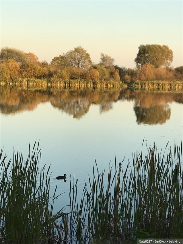 Зоя от Heidi Plusczok. Часть 2. Золотая осень (фото 10)