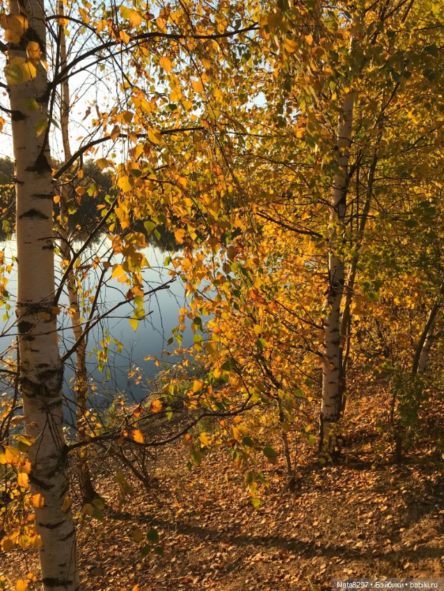 Зоя от Heidi Plusczok. Часть 2. Золотая осень (фото 6)