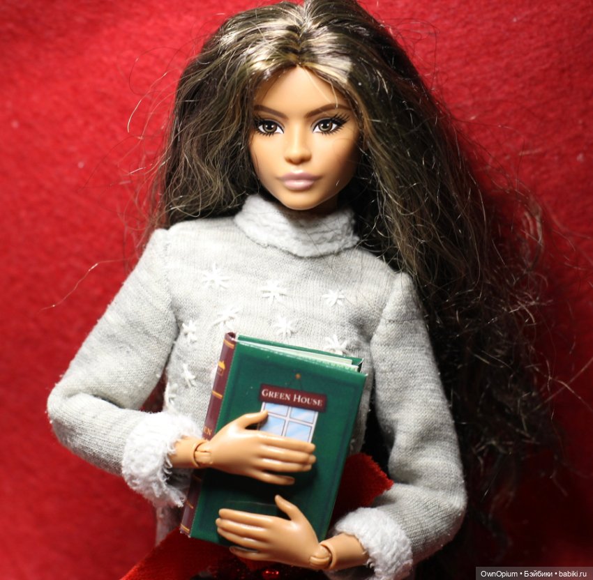 Миниатюрный кукольный дом - книга (фото 3)