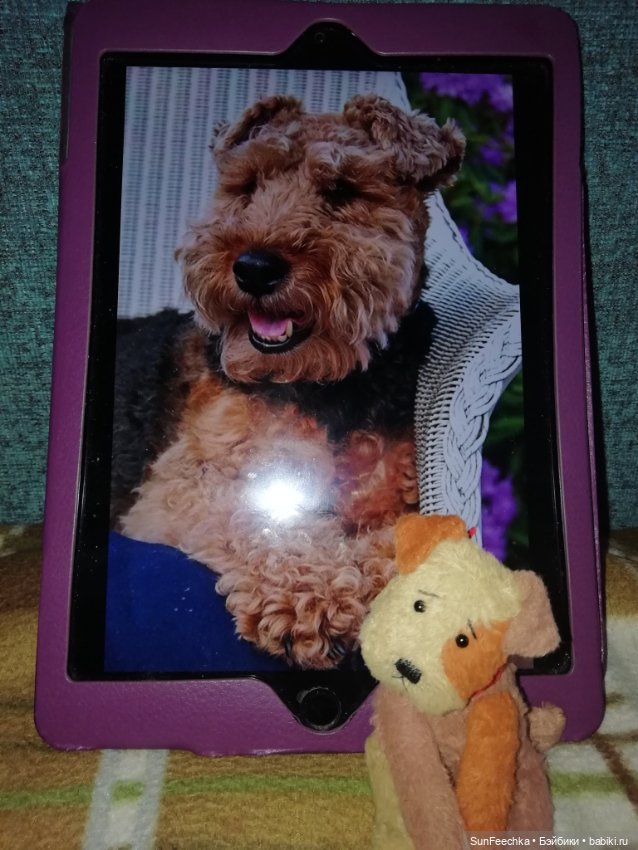 Мир глазами - пуговками. Дневник Филиппа. Я родился (фото 2)