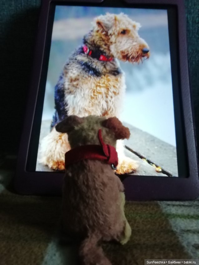 Мир глазами - пуговками. Дневник Филиппа. Я родился