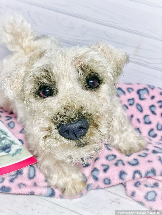 Алмаз 🐾🐾 — Реалистичные игрушки и звери (Натюр): собаки (фото 9)