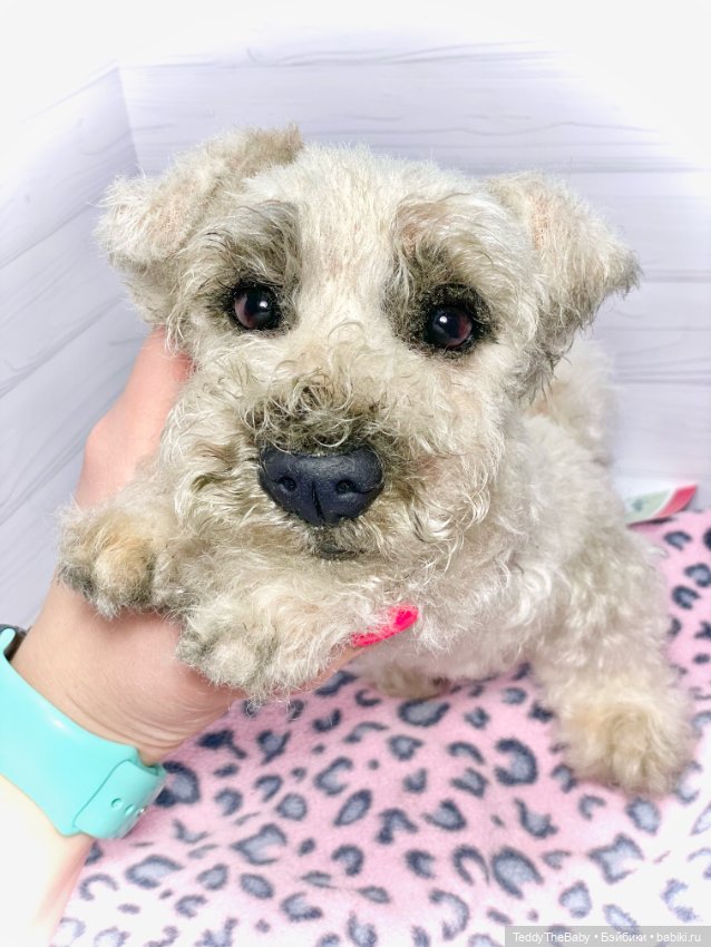 Алмаз 🐾🐾 — Реалистичные игрушки и звери (Натюр): собаки (фото 2)