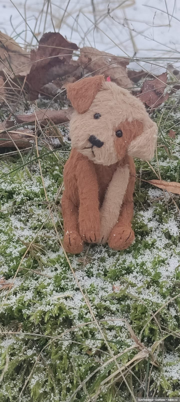 Даже куклы радуются появлению в доме собаки. Томми и Эдди 🥰