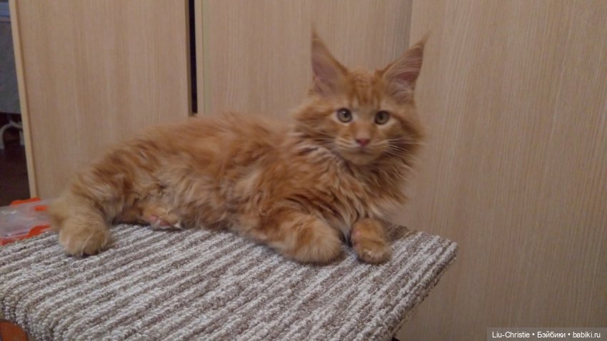 Если обещала, значит выполняй (фото 2)