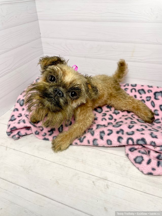 Ralf🐾🐾🐾 — Реалистичные игрушки и звери (Натюр): собаки