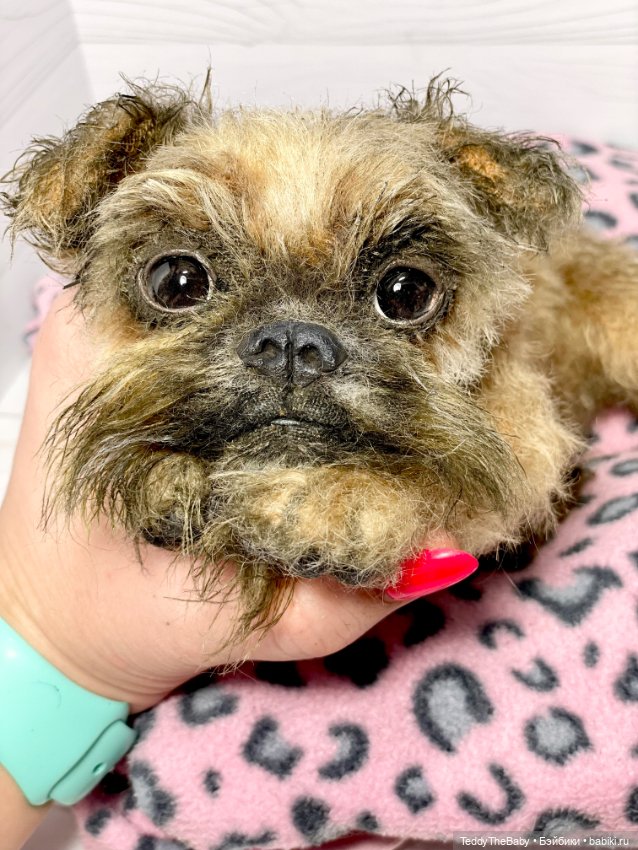 Ralf🐾🐾🐾 — Реалистичные игрушки и звери (Натюр): собаки (фото 6)