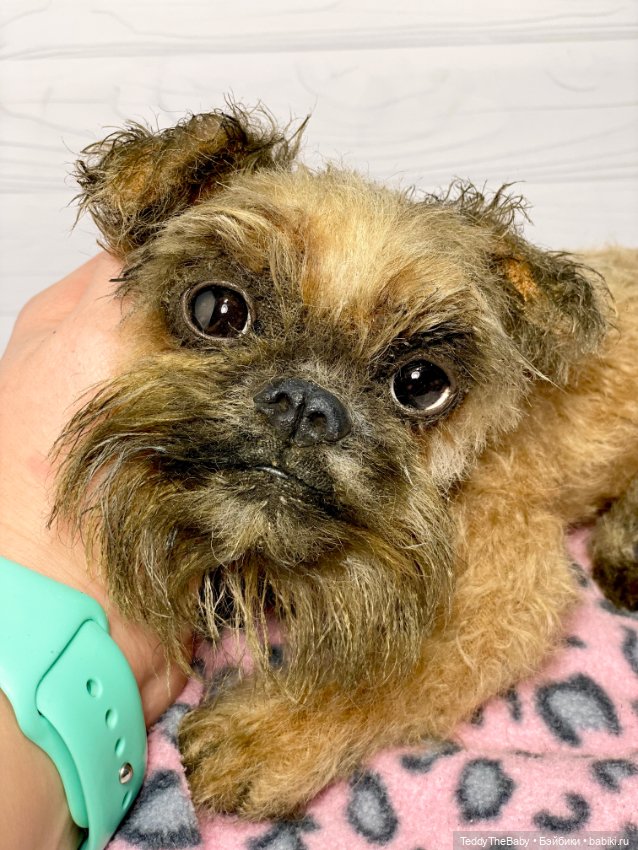 Ralf🐾🐾🐾 — Реалистичные игрушки и звери (Натюр): собаки