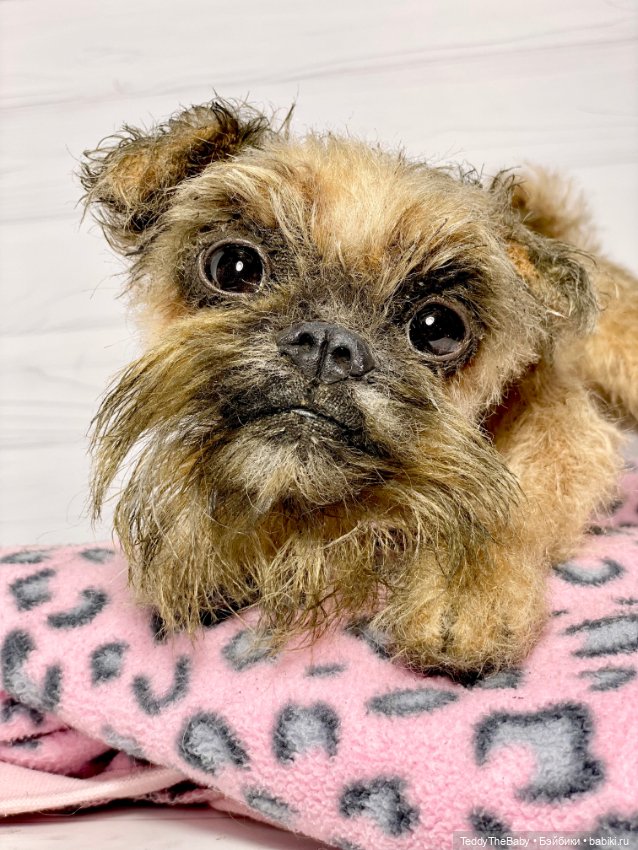 Ralf🐾🐾🐾 — Реалистичные игрушки и звери (Натюр): собаки (фото 3)