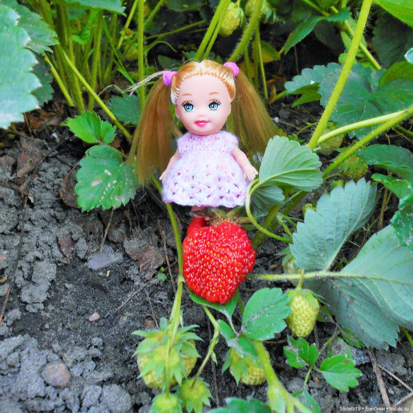 Зимой непременно мечтаем о лете