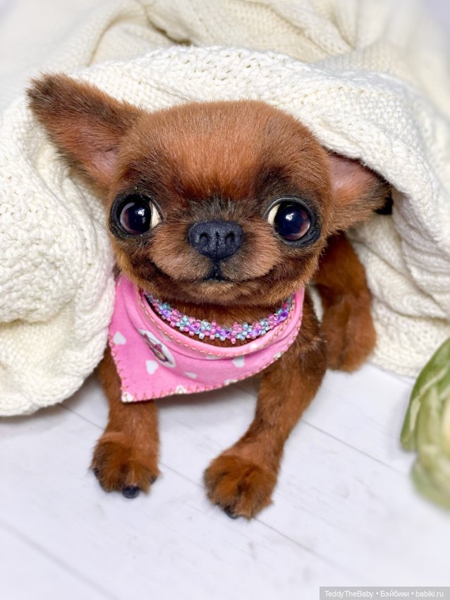 Фая 🔥🐾 — Реалистичные игрушки и звери (Натюр): собаки (фото 2)