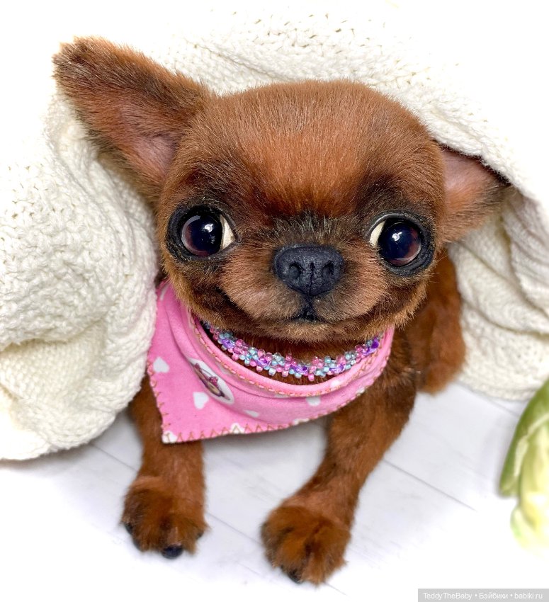 Фая 🔥🐾 — Реалистичные игрушки и звери (Натюр): собаки (фото 3)