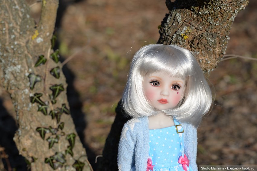 Сабрина и цветущая зима — Куклы Ruby Red (Руби Ред) Fashion Friends: Siblies (фото 7)