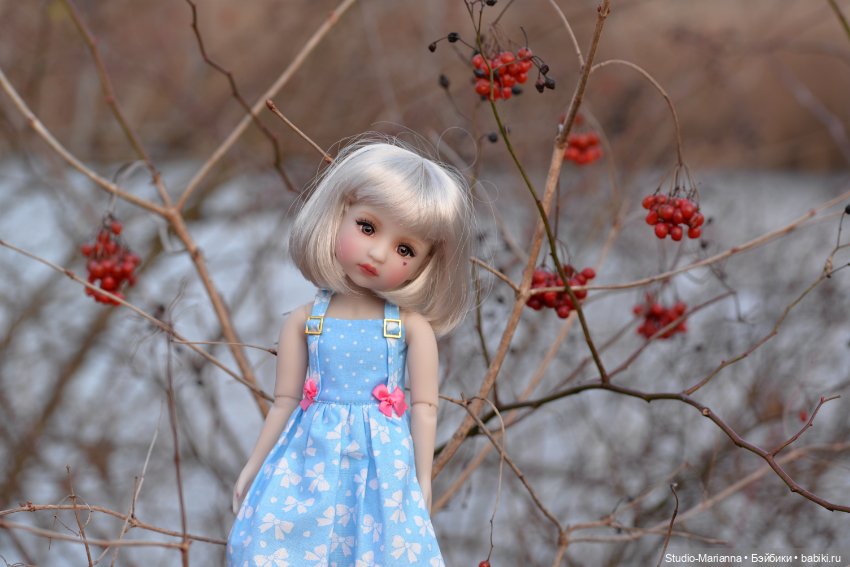 Сабрина и цветущая зима — Куклы Ruby Red (Руби Ред) Fashion Friends: Siblies