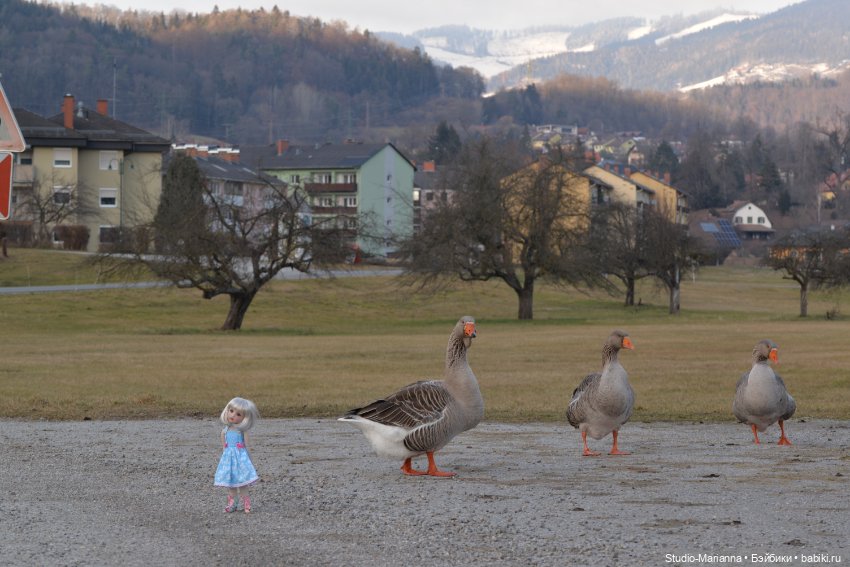 Сабрина и цветущая зима — Куклы Ruby Red (Руби Ред) Fashion Friends: Siblies