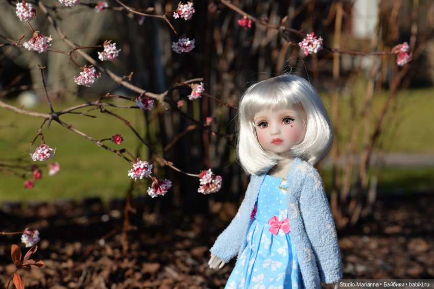 Сабрина и цветущая зима — Куклы Ruby Red (Руби Ред) Fashion Friends: Siblies (фото 2)